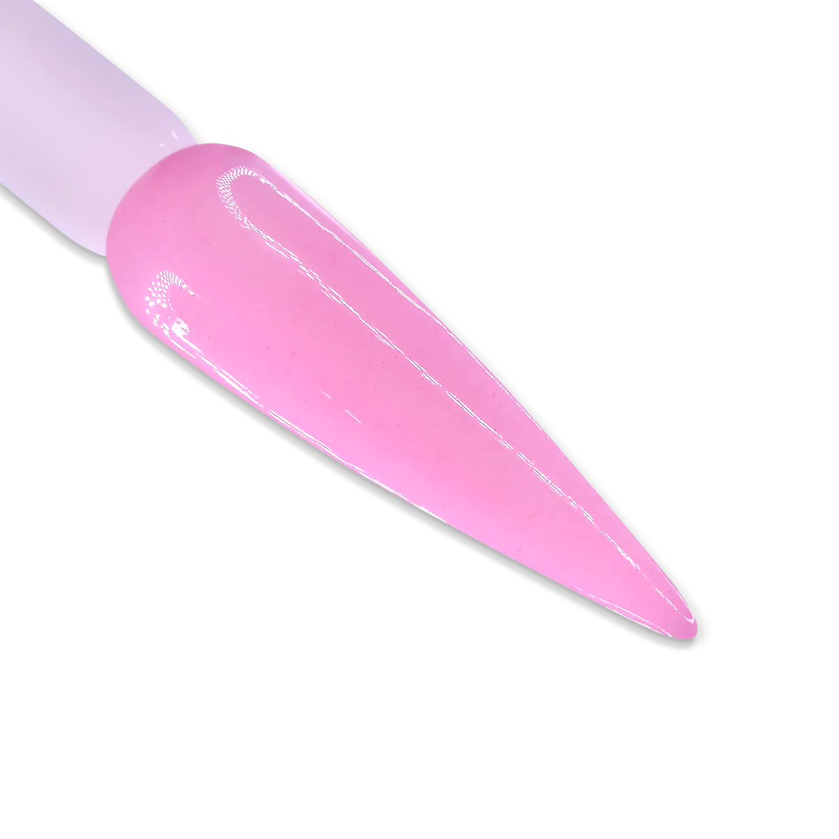 IGEL DUO - DD019 LADY ROSE