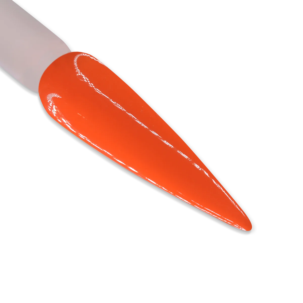 IGEL DUO - DD030 MANDARIN MADNESS