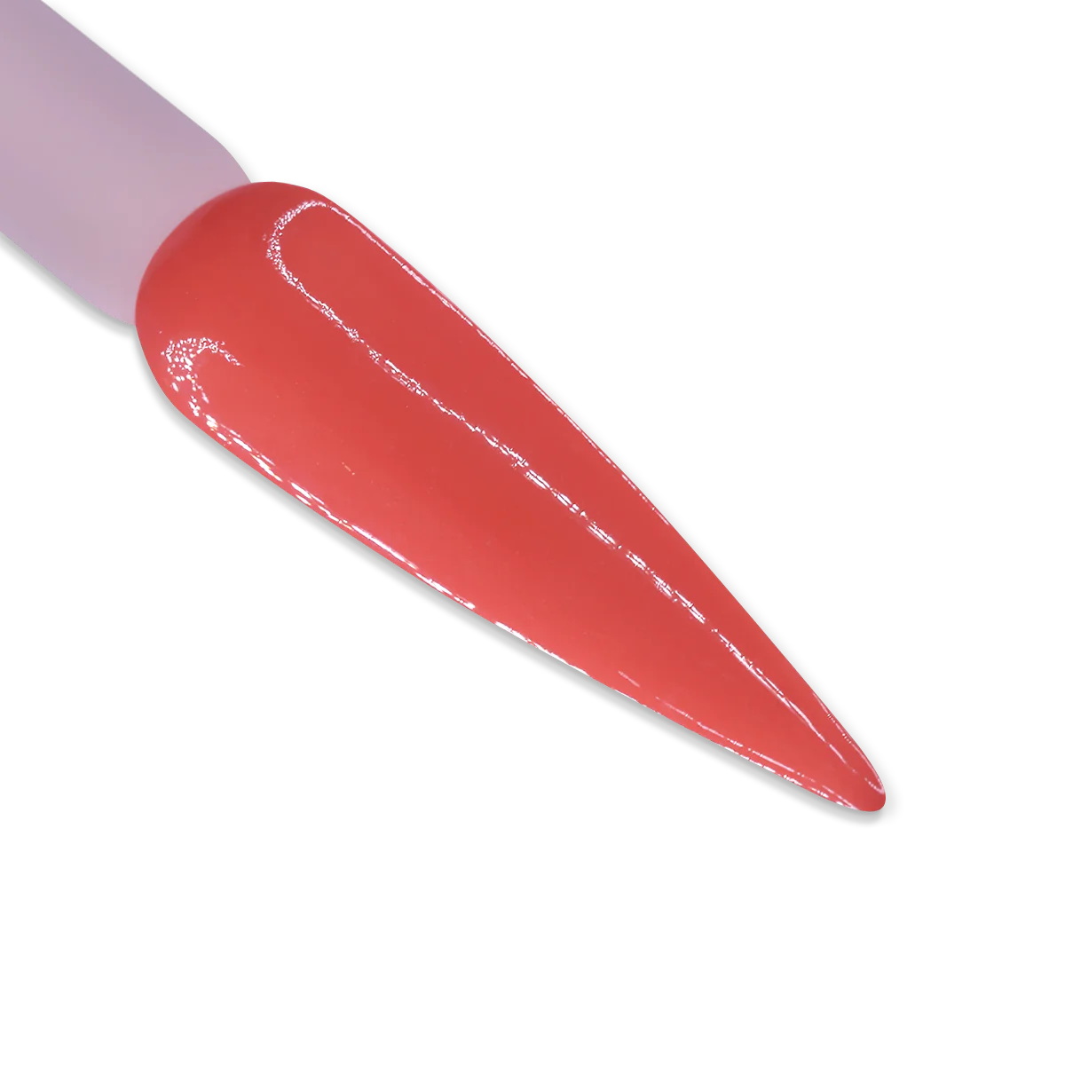 IGEL DUO - DD031 CANDID CORAL