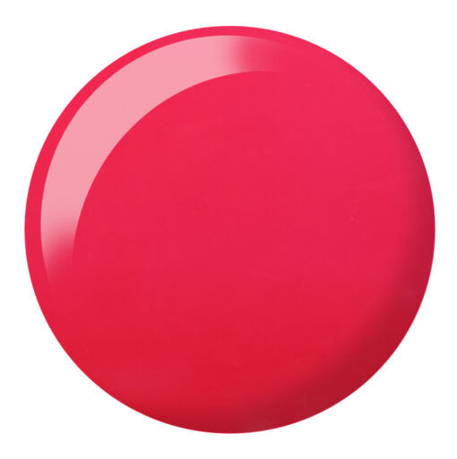 DND817 DUO - CIRCUS CHIC