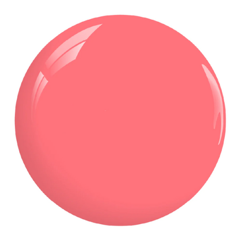 DIVA#184 - PALETA LIMPIA
