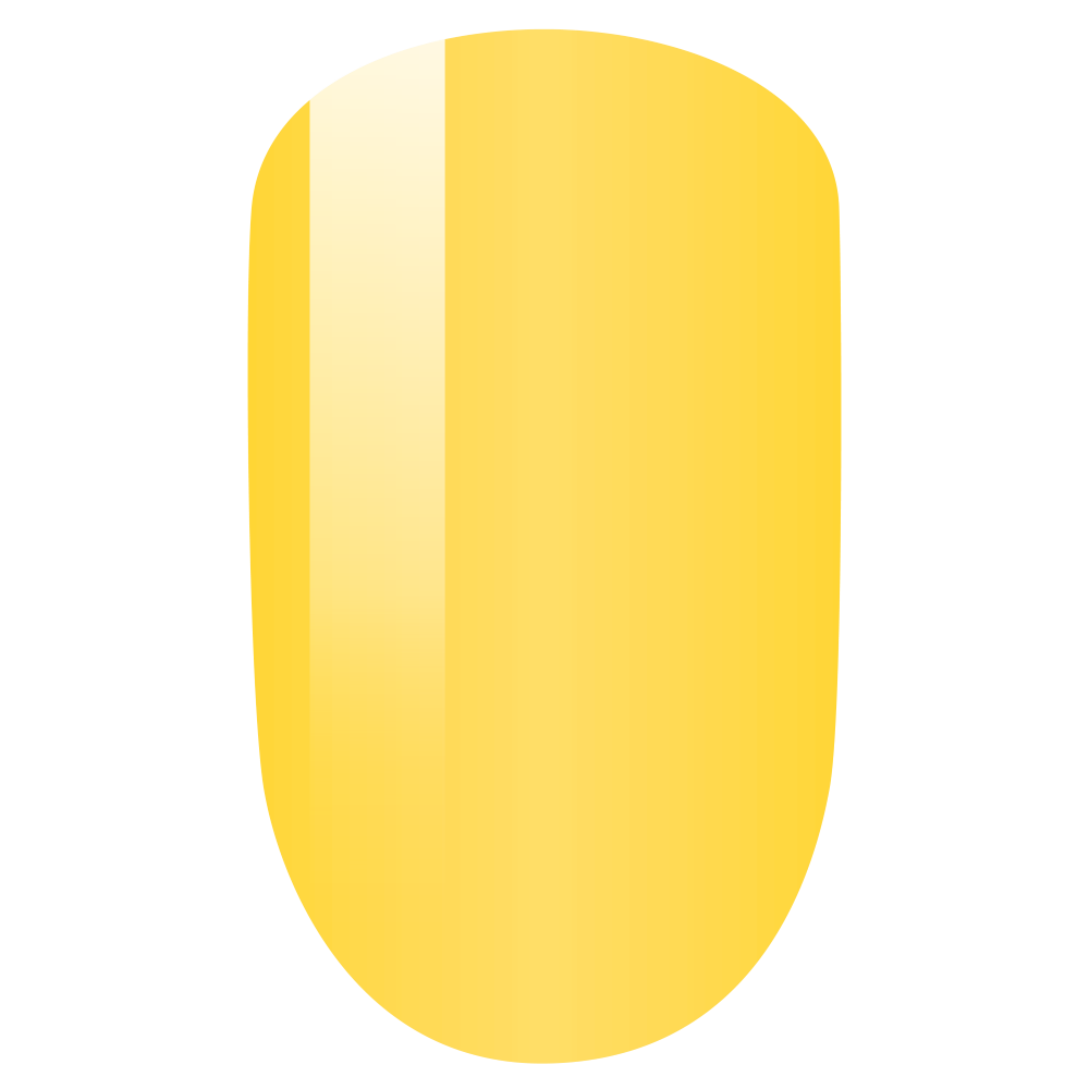 PMS201 DUO - BLAZIN' SUN