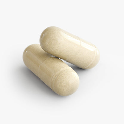 Daily Digestive Support – Probiotics, Prebiotics & Enzymes for Digestive Support