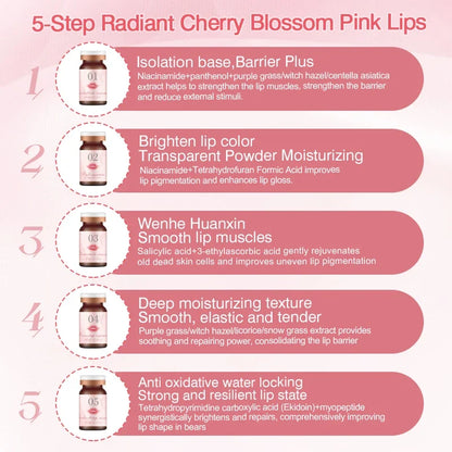 SOBER SKIN natural rose lip care rose scrub lip balm lighten dark lip color brighten roma pink lip