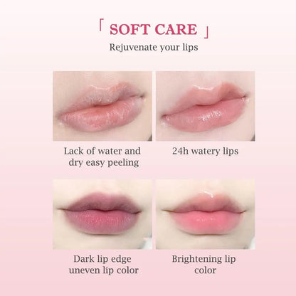 6PCs Natural Fruit Discolored Lip Balm Set Color Changing Moisturizing Lip Tint Long-Lasting Glossy Nourishing Lipstick Lip Care