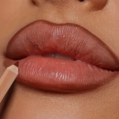 1pc Matte Lipstick & Liner Pen, Waterproof, Long-Lasting, Non-Stick, Berry Shades for All Skin Types, Makeup Pencils for Women