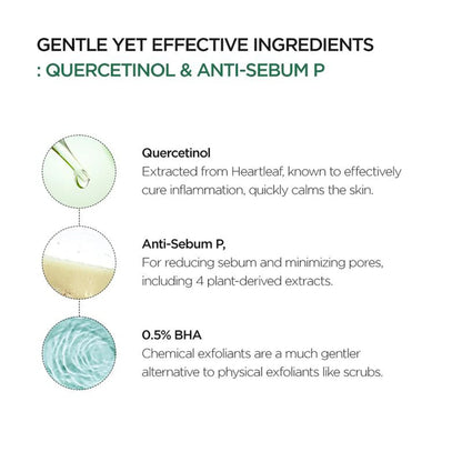 Heartleaf Quercetin Pore Deep Cleansing Foam, Cleanser, Double Cleansing, BHA, Hyaluronic Acid Skincare
