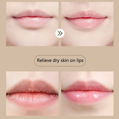 Long Lasting Natural Lipbalm Fruit Flavor Moisturizing Not Greasy Lipgloss Anti Drying Nourishing Lip Men and Women Lip Balm
