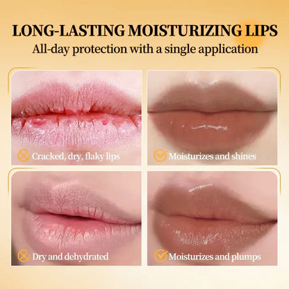 QIBEST Natural Sheer Lip Balm Moisturizing Honey Lipstick Tinted Lip Plumping Balm Smooth Enhancing Natural Color Lip Care