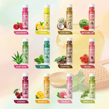 48PCS/ box Moisturizing Lip Balm set 5g12 Flower fragrance Natural fragrance moisturizing and brightening lip color holiday gift