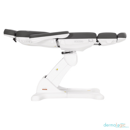REMI ELECTRIC SPA TREATMENT TABLE - 4 MOTORS