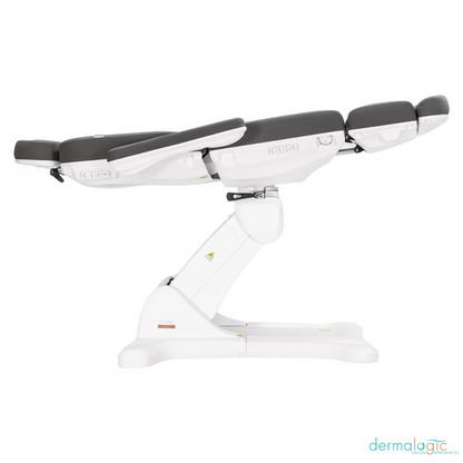 REMI ELECTRIC SPA TREATMENT TABLE - 4 MOTORS