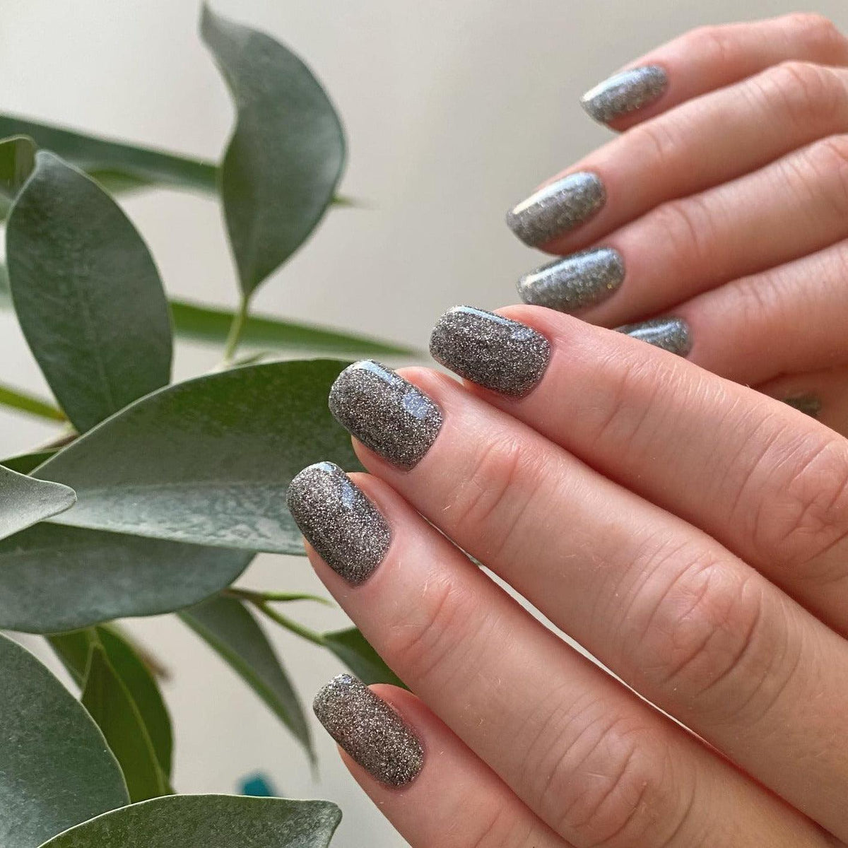 Akzentz Luxio - Gilded Collection