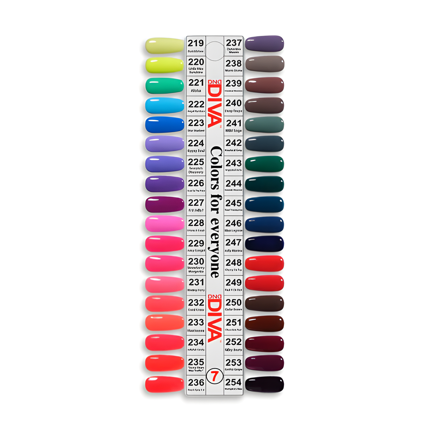DIVA DUO TRAY NO.7 (SET OF 36 COLORS)