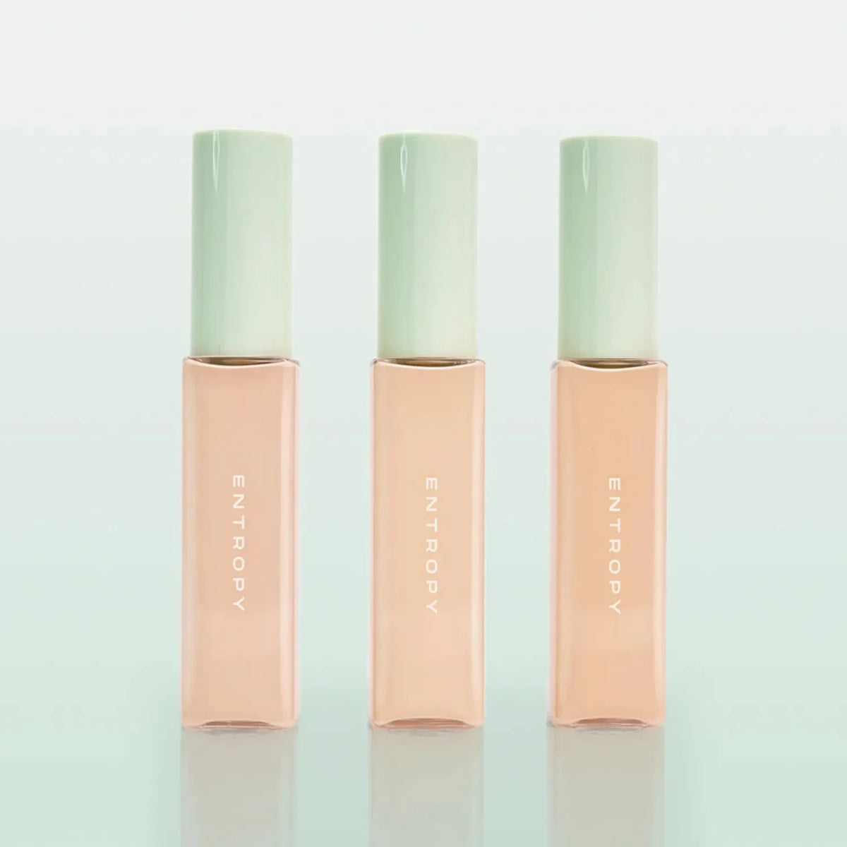 ENTROPY Organza Fit Spatula Foundation 40g