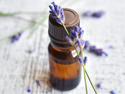 Best 6 Blends Essential Oils Set | Aromatherapy Diffuser Blends Oils for Sleep, Mood, Breathe, Temptation, Feel Good, Stress Relief