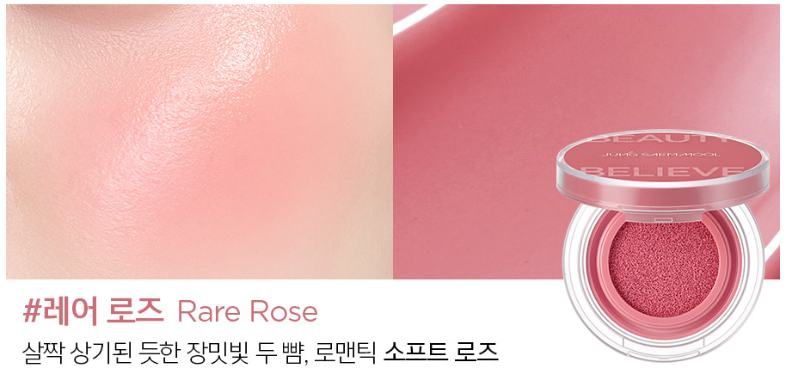 JUNGSAEMMOOL Artist Cushion Blush 4g (10color)