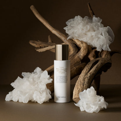 SUNGBOON EDITOR Youngran White Mushroom Collagen Lifting Facegloss 30ml