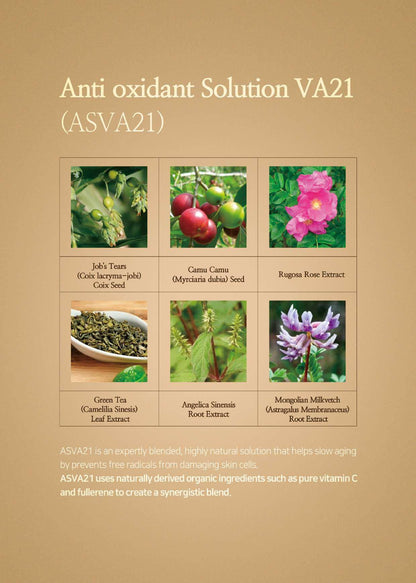 Relaco VA21 PREMIUM PURE VITAMIN C SERUM SET (14ml X 3ea)